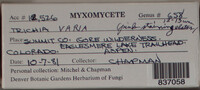 Image Associated With the Occurence